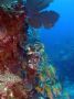 AmbergrisCaye05 - 117